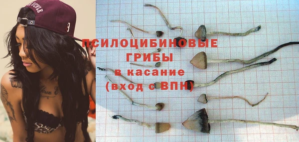 прущая мука Верхний Тагил