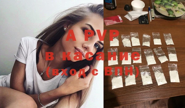 ПСИЛОЦИБИНОВЫЕ ГРИБЫ Верея